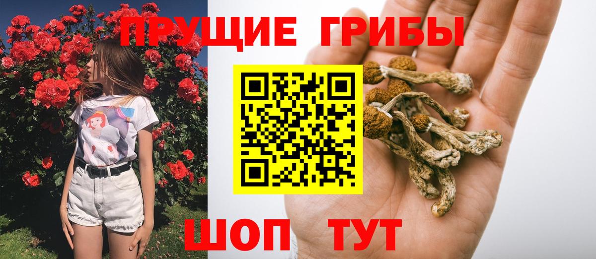 Псилоцибиновые грибы Magic Shrooms Россошь