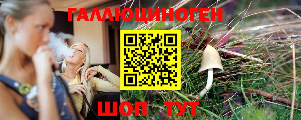 Галлюциногенные грибы Magic Shrooms  Вход с VPN  Россошь  Псилоцибиновые грибы Psilocybine cubensis 